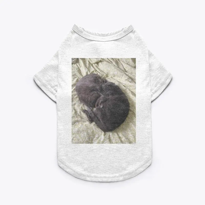 Pet shirt with my cats on it